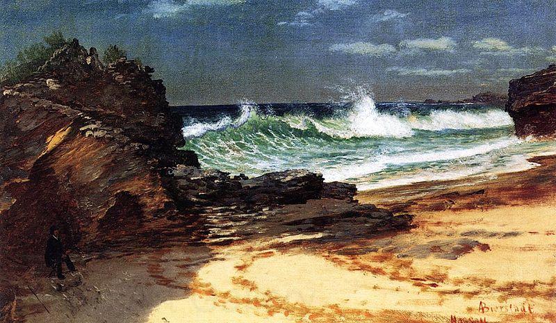 Albert Bierstadt Beach at Nassau Norge oil painting art